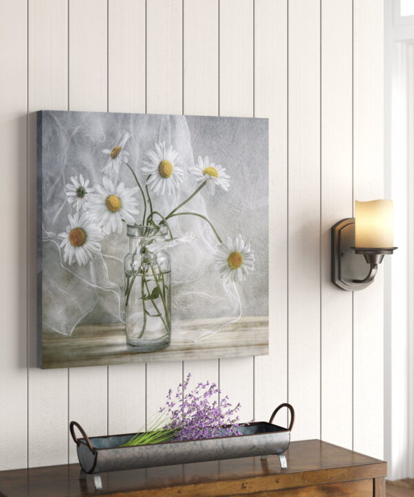 Daisies - Photograph on Canvas