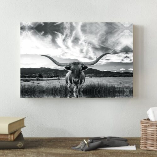 Black And White Longhorn Cow I - Wrapped Canvas Photograph