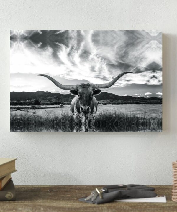 Black And White Longhorn Cow I - Wrapped Canvas Photograph