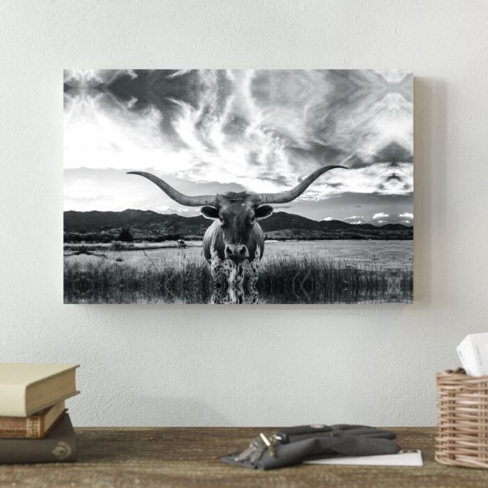 Black And White Longhorn Cow I - Wrapped Canvas Photograph