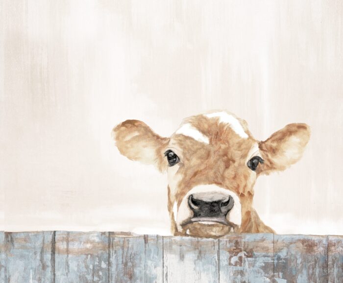 Calf On Abstract Fence - Wrapped Canvas Painting