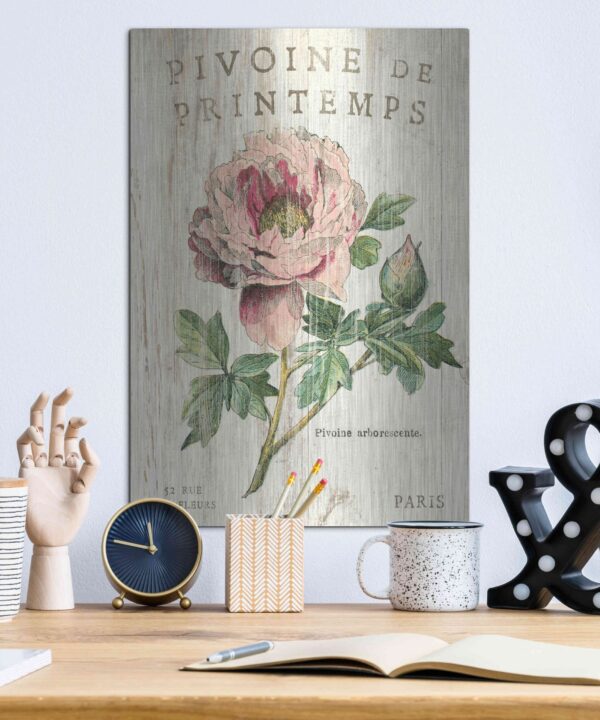 Luxe Metal Art 'Pivoine De Printemps' By Sue Schla Pivoine De Printemps by - Unframed Drawing Print on Metal Luxe Metal Art 'Pivoine De Printemps' By Sue Schla Pivoine De Printemps by - Unframed Drawing Print on Metal