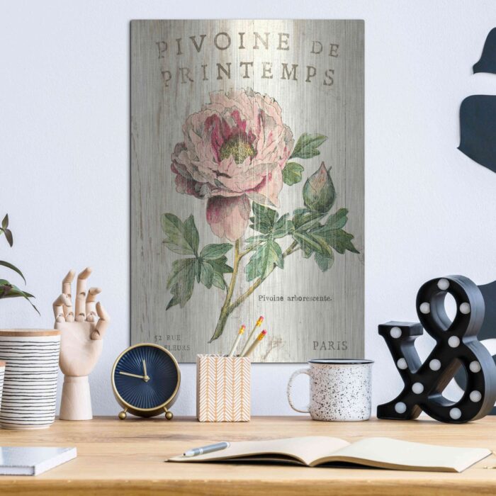 Luxe Metal Art 'Pivoine De Printemps' By Sue Schla Pivoine De Printemps by - Unframed Drawing Print on Metal
