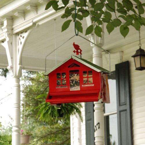 Czarnecki Squirrel-Be-Gone Country Style Hopper Bird Feeder