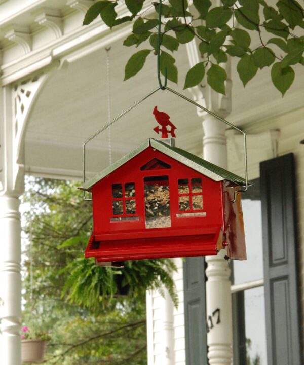 Czarnecki Squirrel-Be-Gone Country Style Hopper Bird Feeder