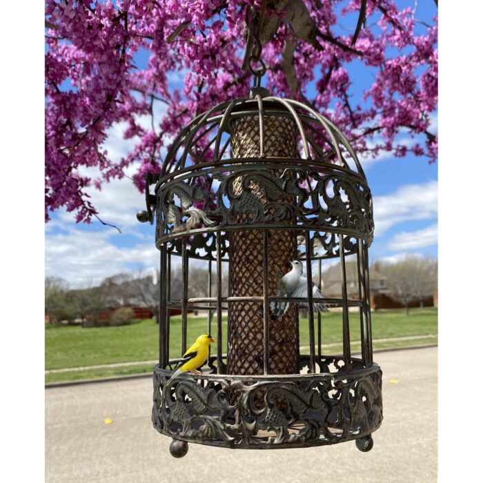 Hartzell Squirrel Proof Caged Hopper Bird Feeder