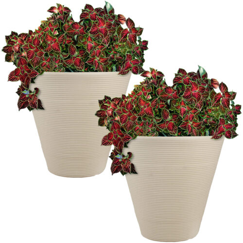 Sunnydaze Walter Outdoor Flower Pot Planter - Beige - 16-Inch - 2-Pack