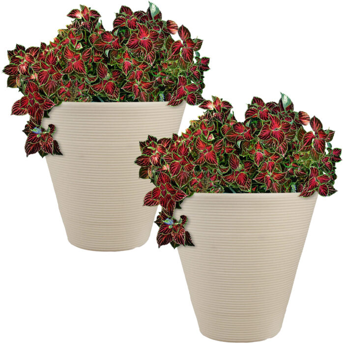 Sunnydaze Walter Outdoor Flower Pot Planter - Beige - 16-Inch - 2-Pack