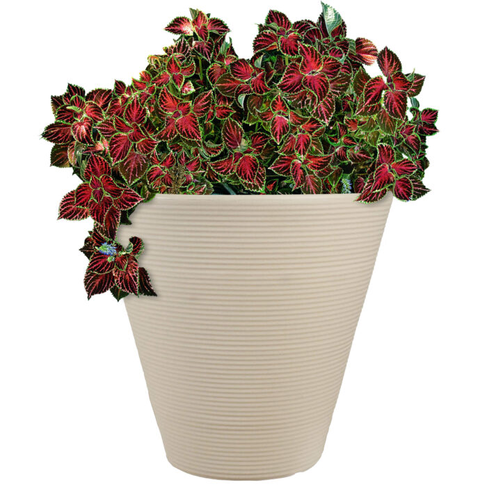 Sunnydaze Walter Ribbed Cone Indoor/Outdoor Planter Pot, Antique White Finish, 16-Inch Diameter, Single