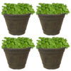 Sunnydaze Franklin Outdoor Flower Pot Planter - Sable - 20-Inch - 4-Pack Sunnydaze Franklin Outdoor Flower Pot Planter - Sable - 20-Inch - 4-Pack