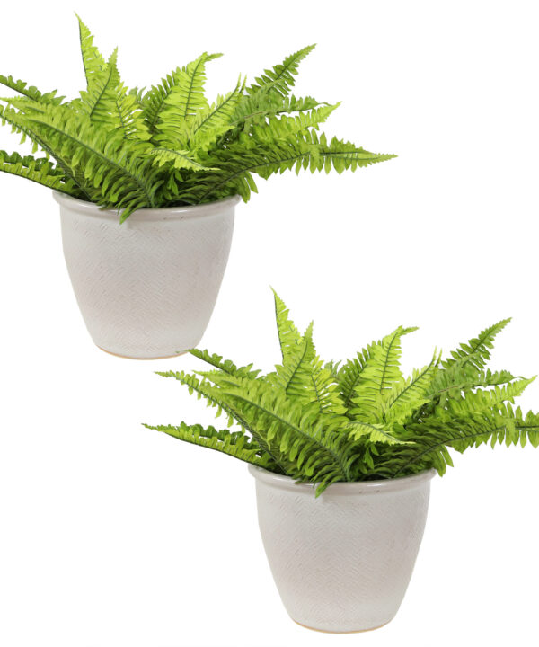 2 Ocean Villa Ceramic Indoor/Outdoor Planters - 11-Inch - Pearl