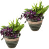 2 Purlieu Ceramic Indoor/Outdoor Planters - 12-Inch - Tempest