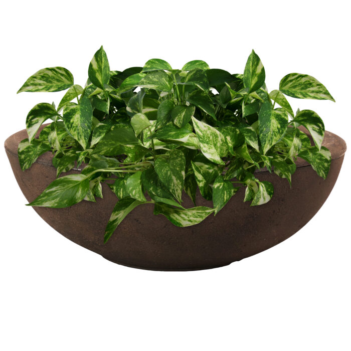 Sunnydaze Percival Indoor/Outdoor Planter Pot, Sable Finish, 21-Inch Diameter, Single