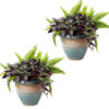 2 Purlieu Ceramic Indoor/Outdoor Planters - 12-Inch - Shoreline