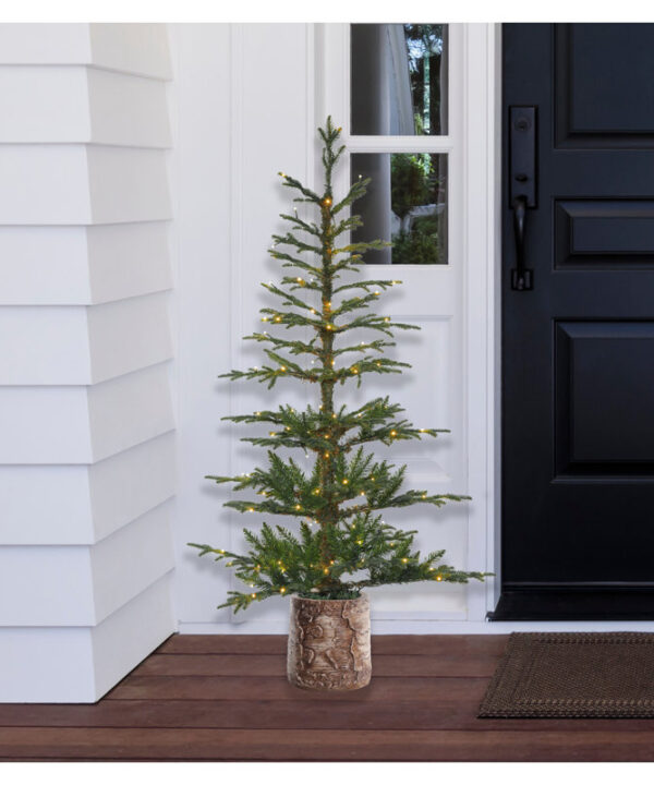 5' Lighted Fir Christmas Tree