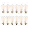 Vintage 40 Watt Dimmable Clear Bulb (Set of 12)