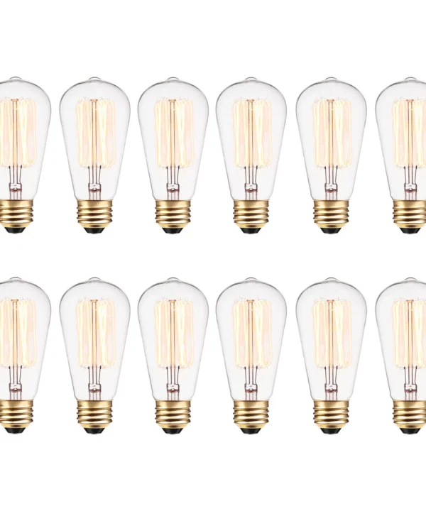 Vintage 40 Watt Dimmable Clear Bulb (Set of 12)