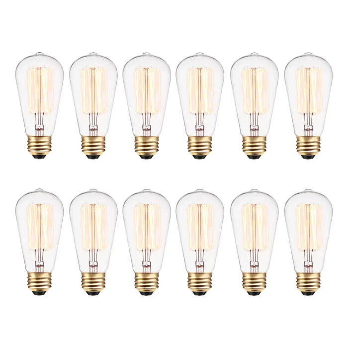 Vintage 40 Watt Dimmable Clear Bulb (Set of 12)